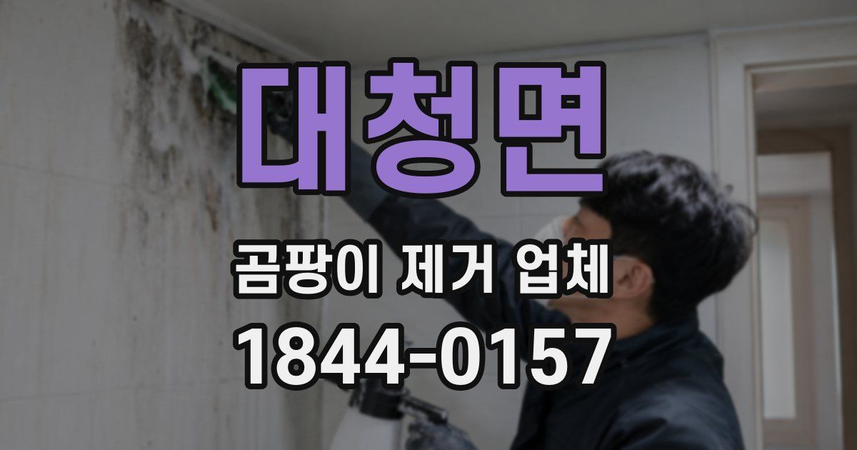 대청면 곰팡이 제거 업체