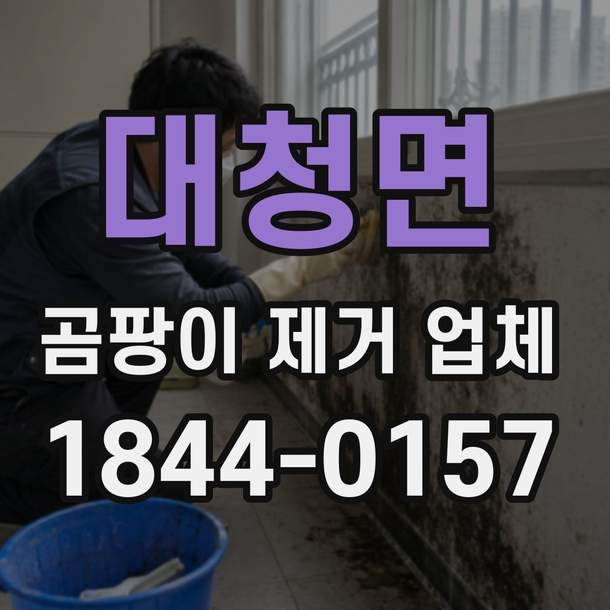 대청면 곰팡이 제거 업체