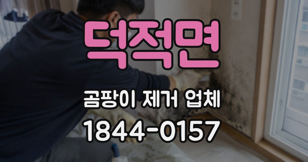 덕적면 곰팡이 제거 업체