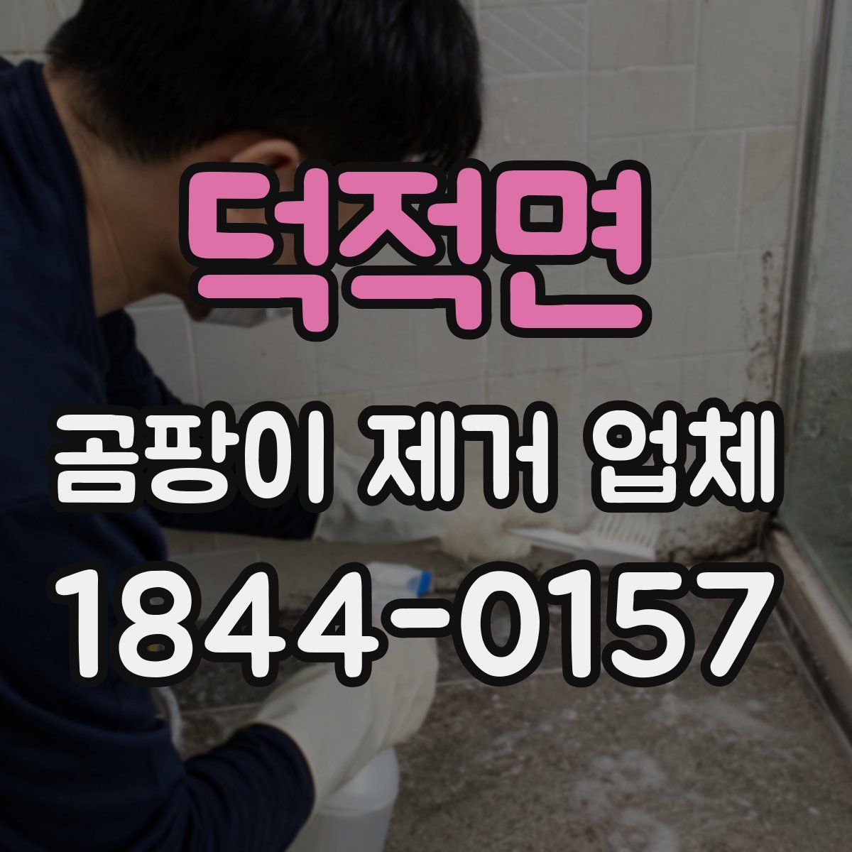 덕적면 곰팡이 제거 업체