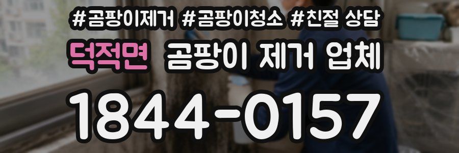 덕적면 곰팡이 제거 업체