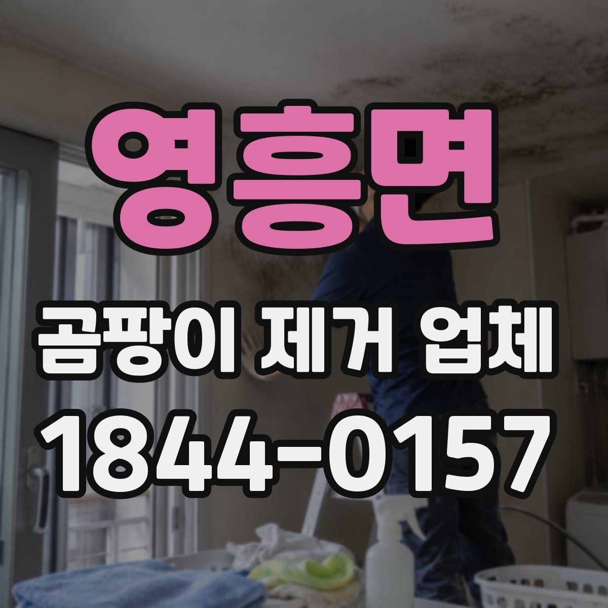 영흥면 곰팡이 제거 업체 선택 시 가격보다 중요한 기준