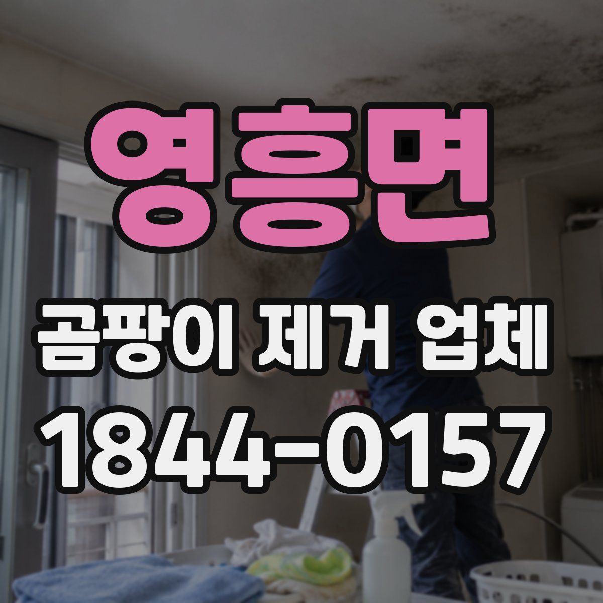 영흥면 곰팡이 제거 업체