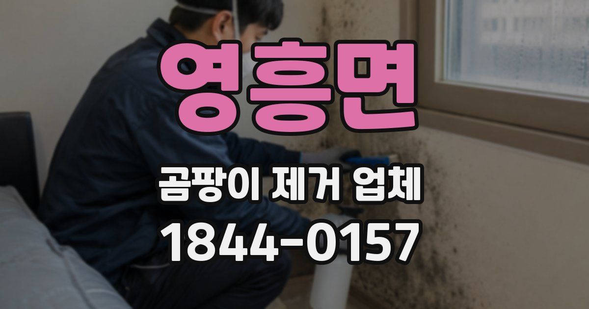 영흥면 곰팡이 제거 업체