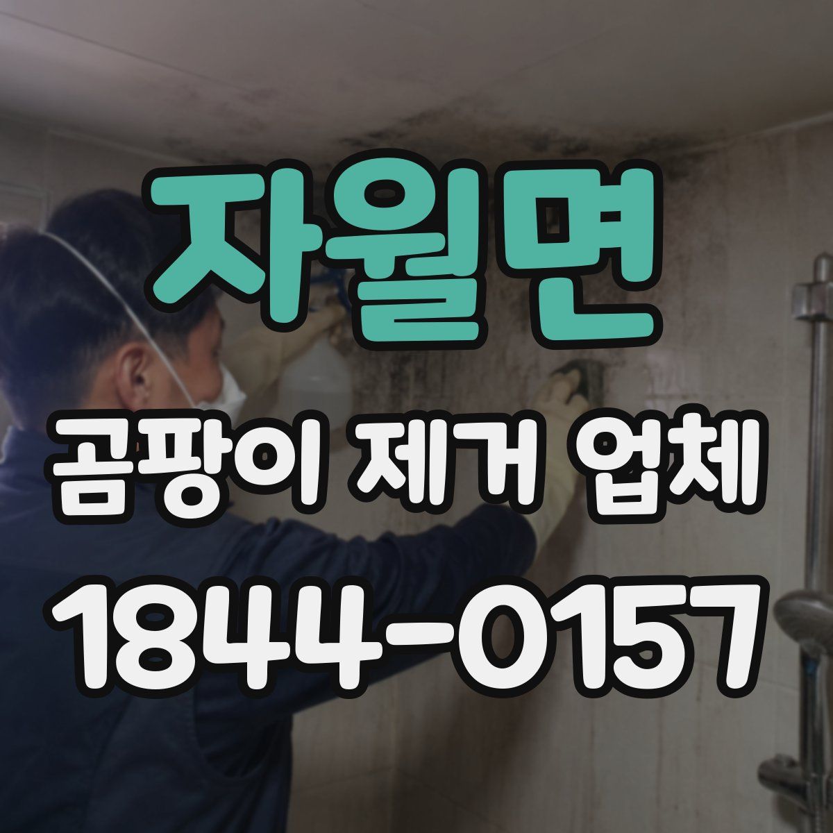 자월면 곰팡이 제거 업체