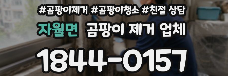 자월면 곰팡이 제거 업체
