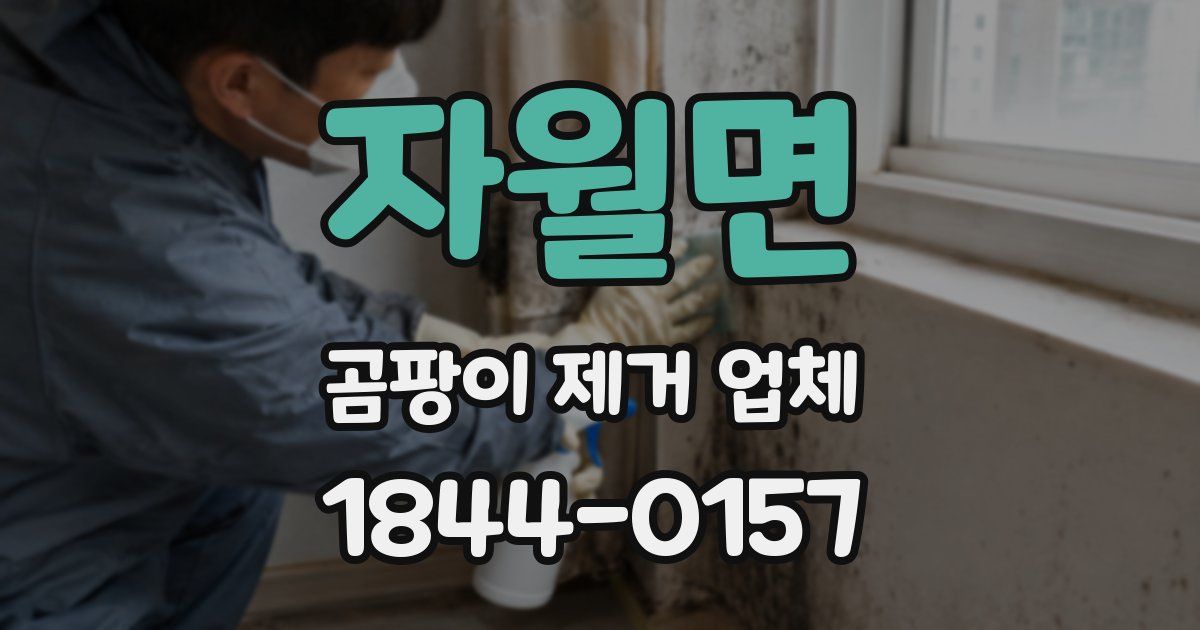 자월면 곰팡이 제거 업체