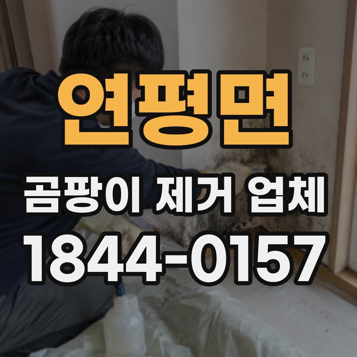 연평면 곰팡이 제거 업체