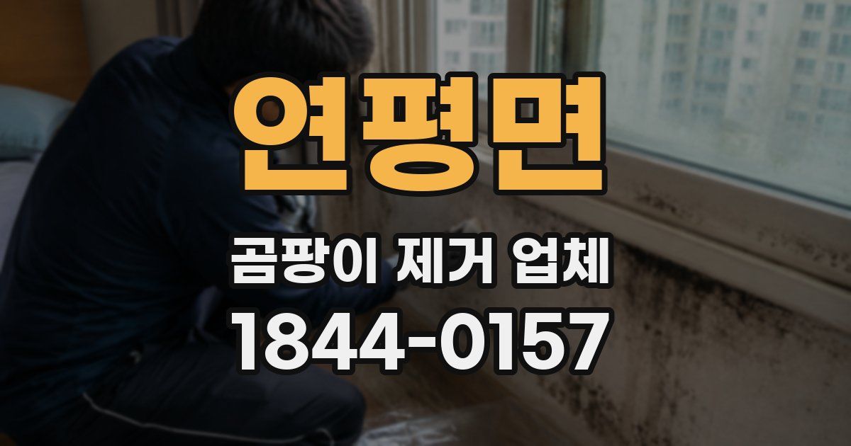 연평면 곰팡이 제거 업체