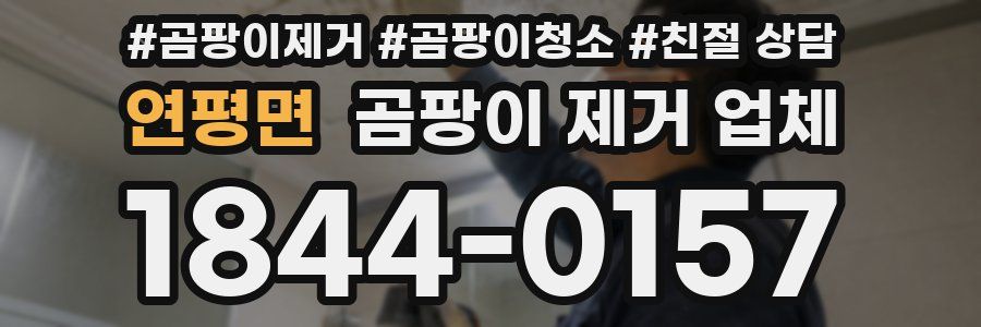 연평면 곰팡이 제거 업체