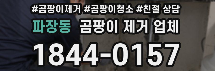 파장동 곰팡이 제거 업체
