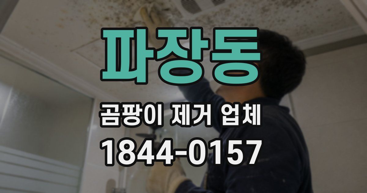 파장동 곰팡이 제거 업체