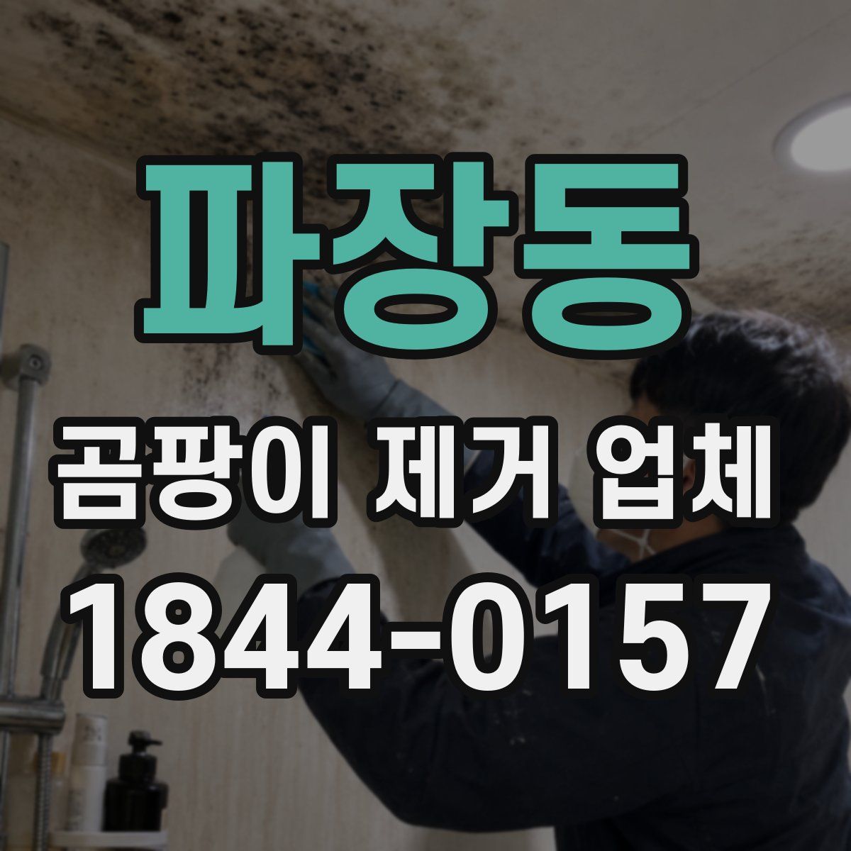 파장동 곰팡이 제거 업체