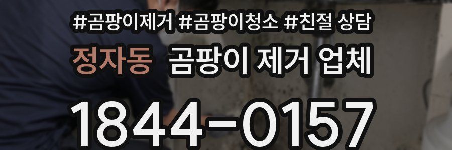 정자동 곰팡이 제거 업체