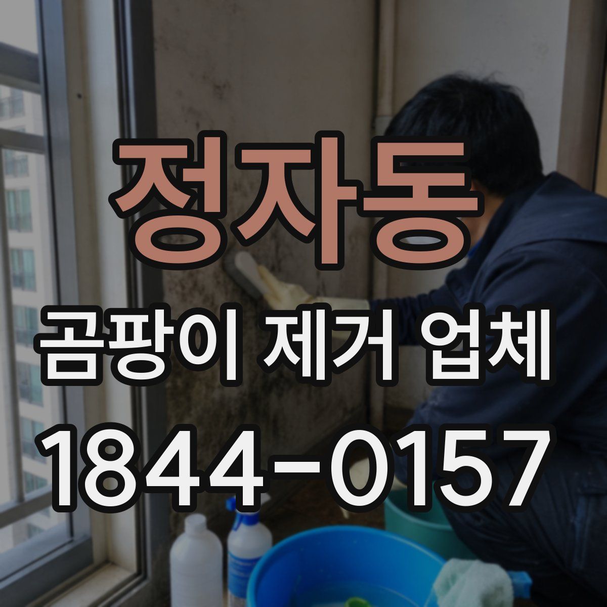 정자동 곰팡이 제거 업체