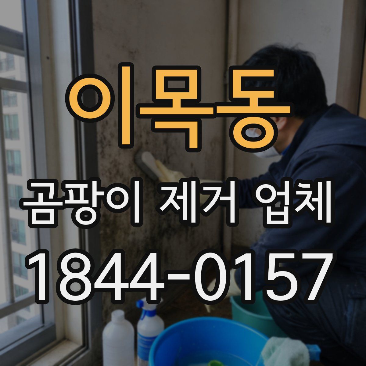 이목동 곰팡이 제거 업체