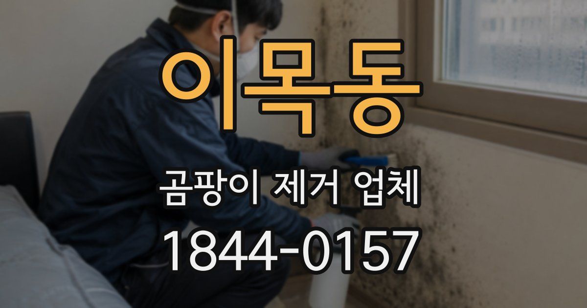 이목동 곰팡이 제거 업체