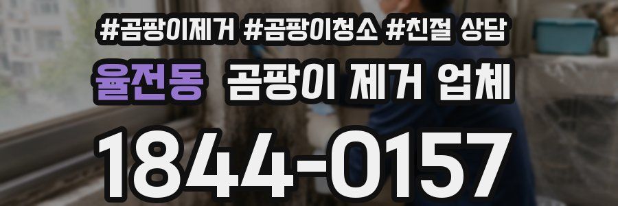 율전동 곰팡이 제거 업체