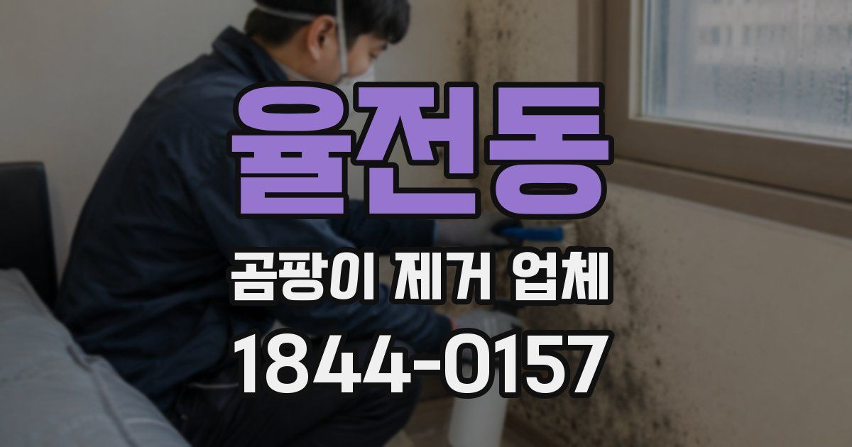 율전동 곰팡이 제거 업체