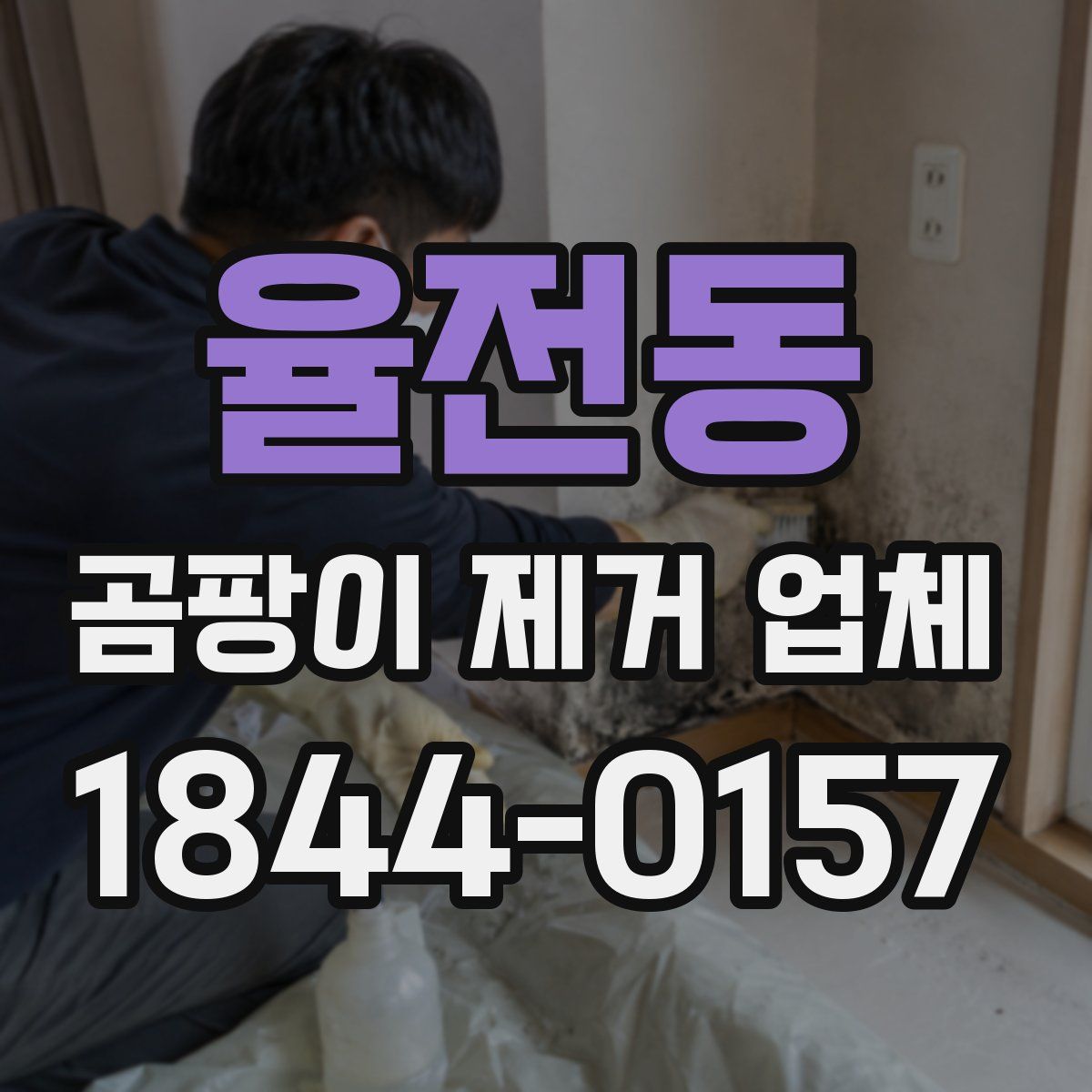 율전동 곰팡이 제거 업체