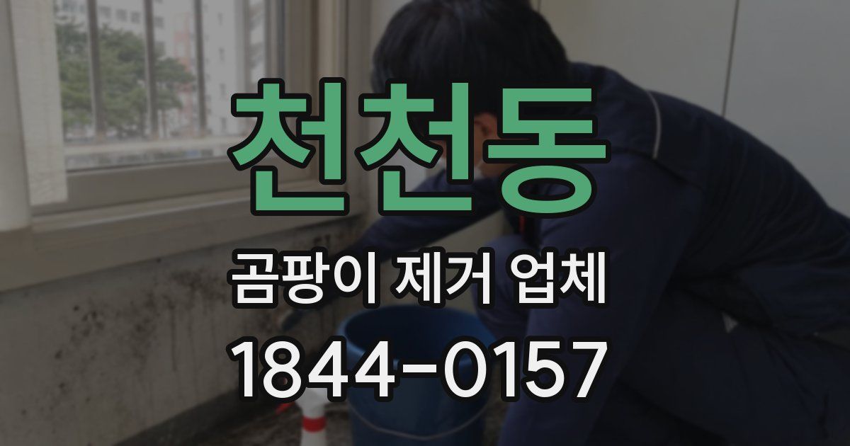 천천동 곰팡이 제거 업체