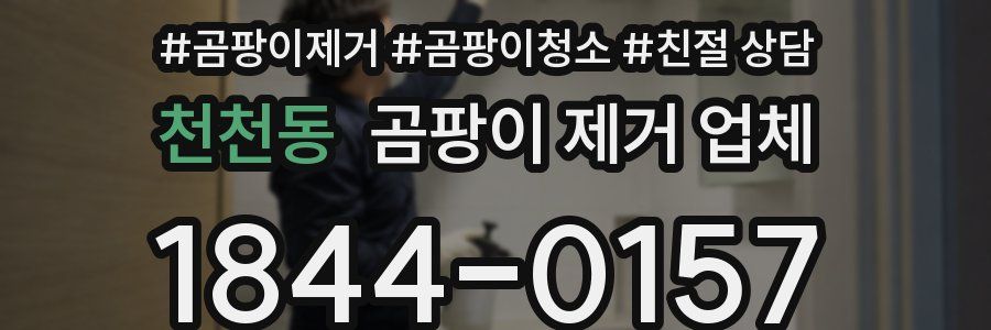 천천동 곰팡이 제거 업체