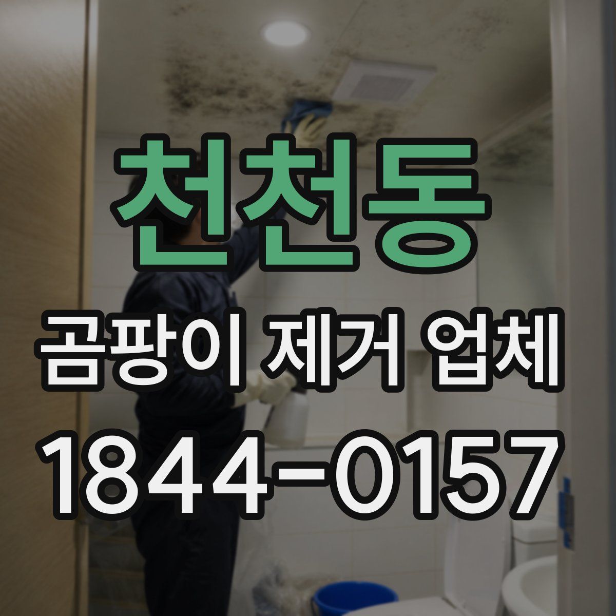 천천동 곰팡이 제거 업체