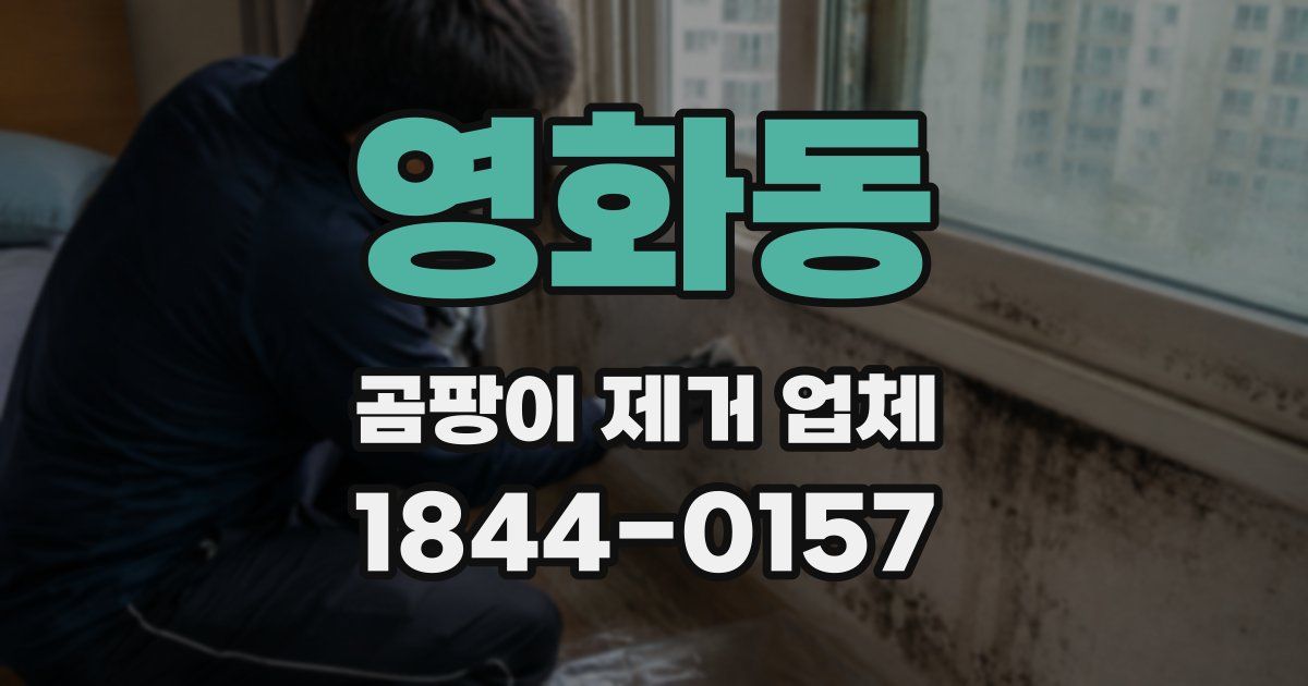 영화동 곰팡이 제거 업체