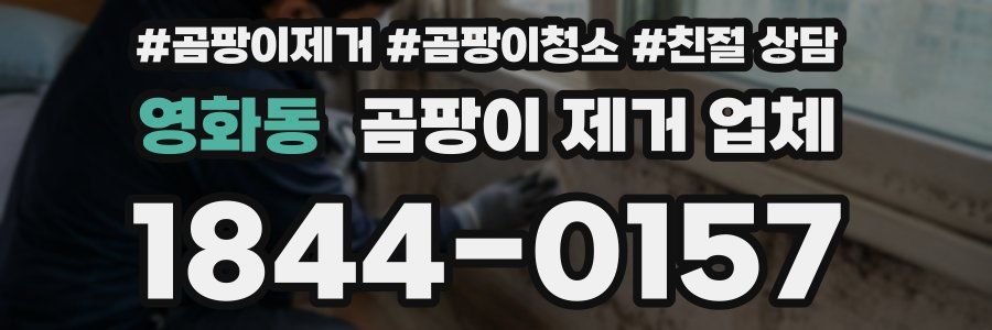 영화동 곰팡이 제거 업체