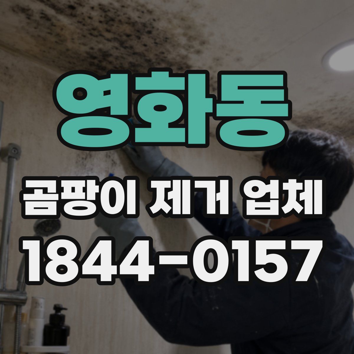 영화동 곰팡이 제거 업체