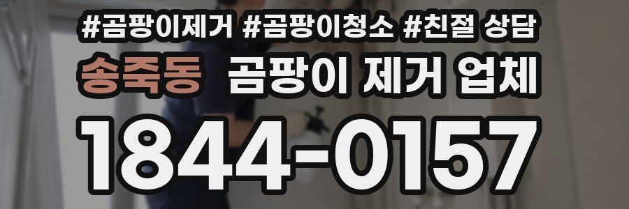 송죽동 곰팡이 제거 업체