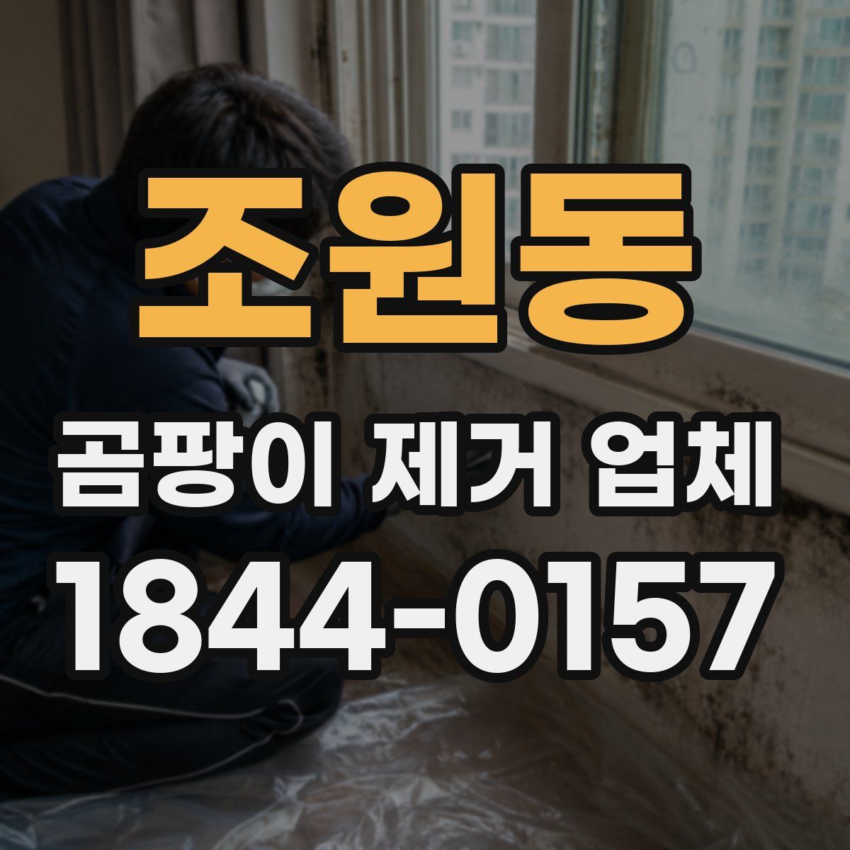 조원동 곰팡이 제거 업체