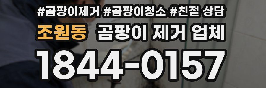 조원동 곰팡이 제거 업체