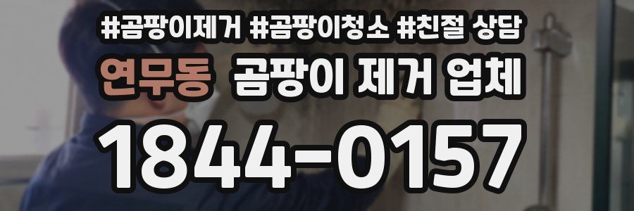 연무동 곰팡이 제거 업체