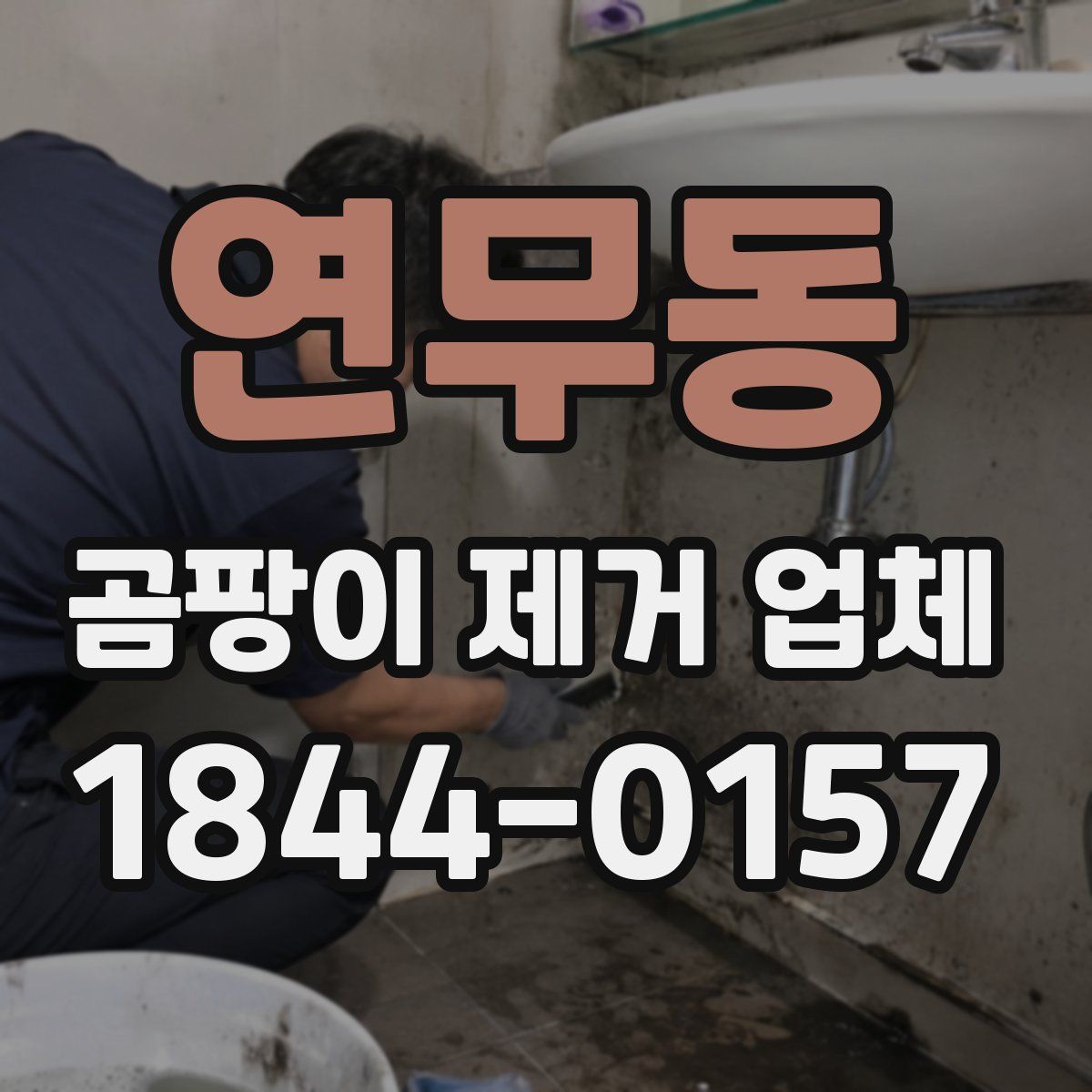 연무동 곰팡이 제거 업체