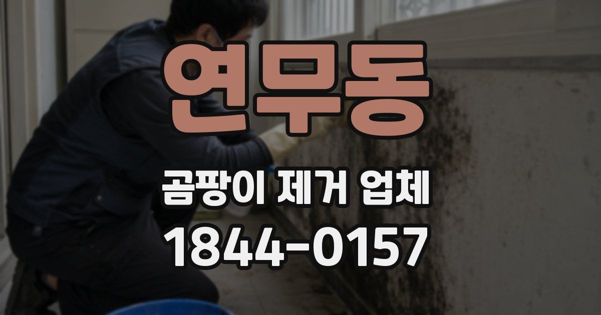 연무동 곰팡이 제거 업체