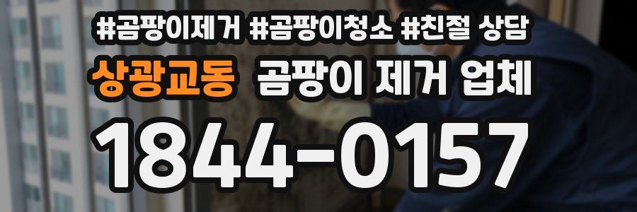 상광교동 곰팡이 제거 업체