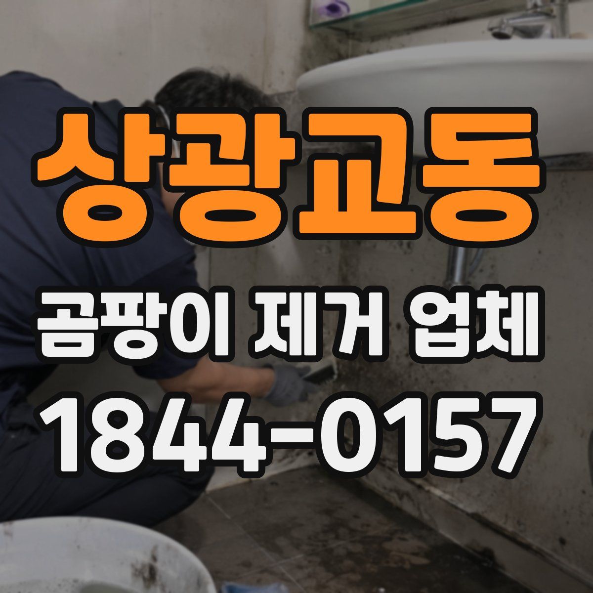 상광교동 곰팡이 제거 업체