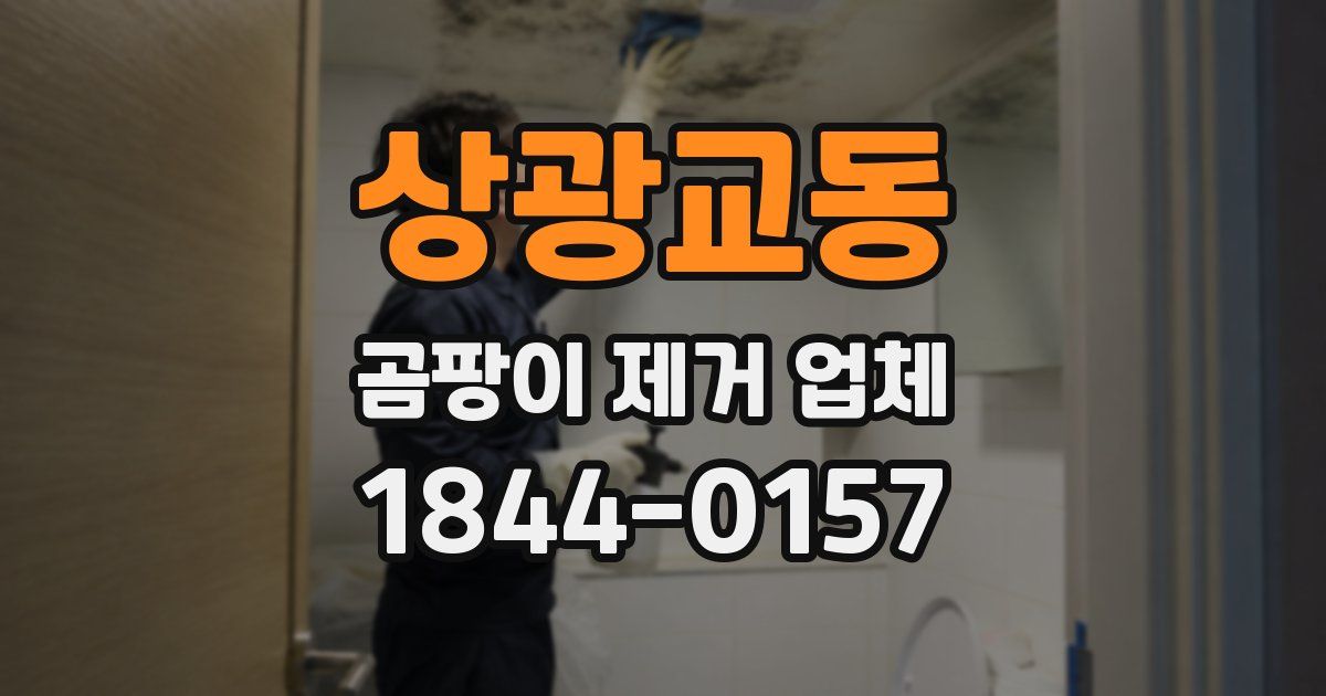 상광교동 곰팡이 제거 업체