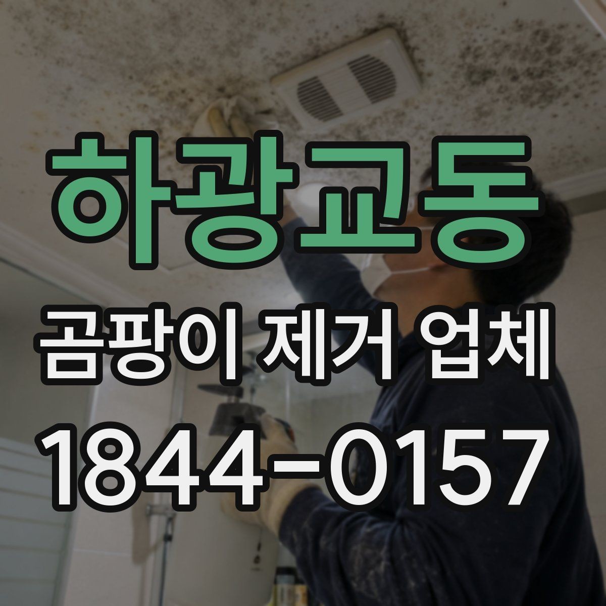하광교동 곰팡이 제거 업체 선택 시 비용 외에 봐야 할 점