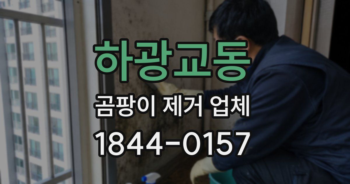 하광교동 곰팡이 제거 업체