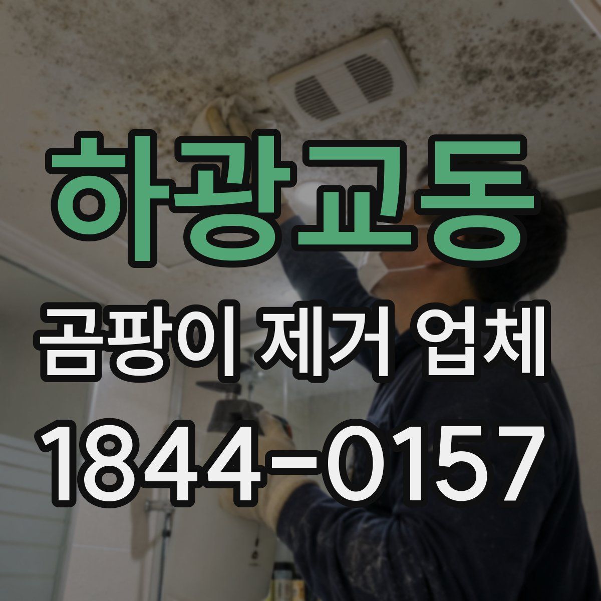 하광교동 곰팡이 제거 업체