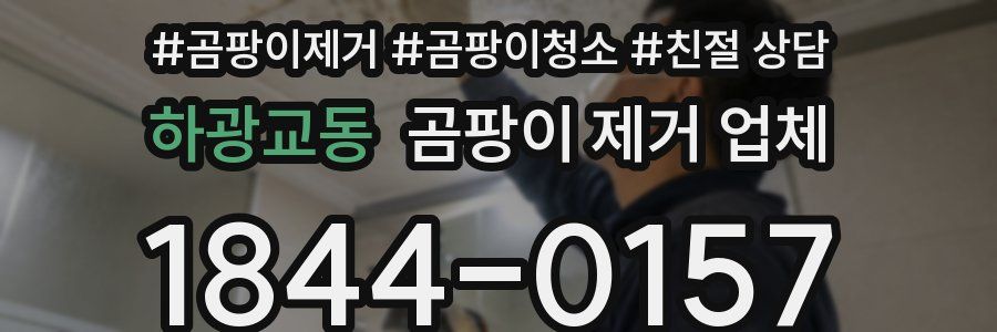 하광교동 곰팡이 제거 업체