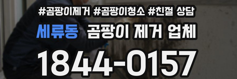세류동 곰팡이 제거 업체