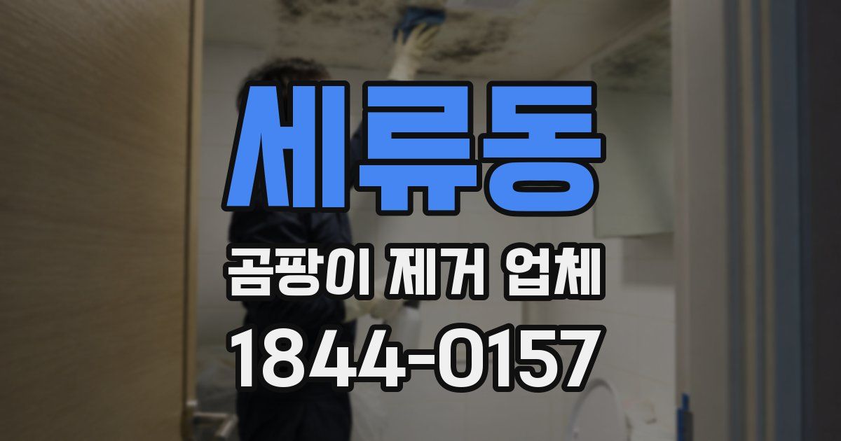 세류동 곰팡이 제거 업체