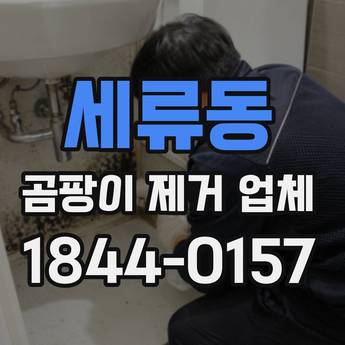 세류동 곰팡이 제거 업체