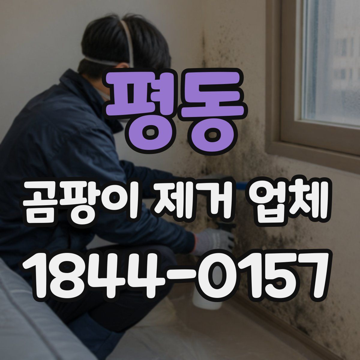 평동 곰팡이 제거 업체