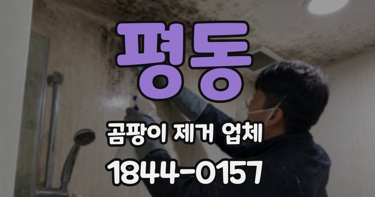 평동 곰팡이 제거 업체