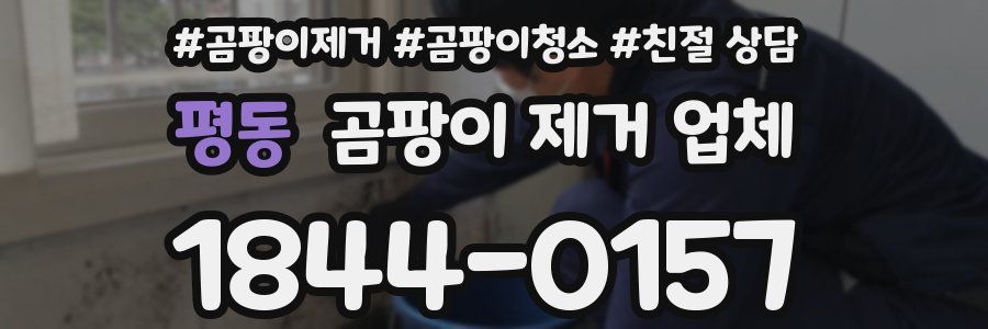 평동 곰팡이 제거 업체