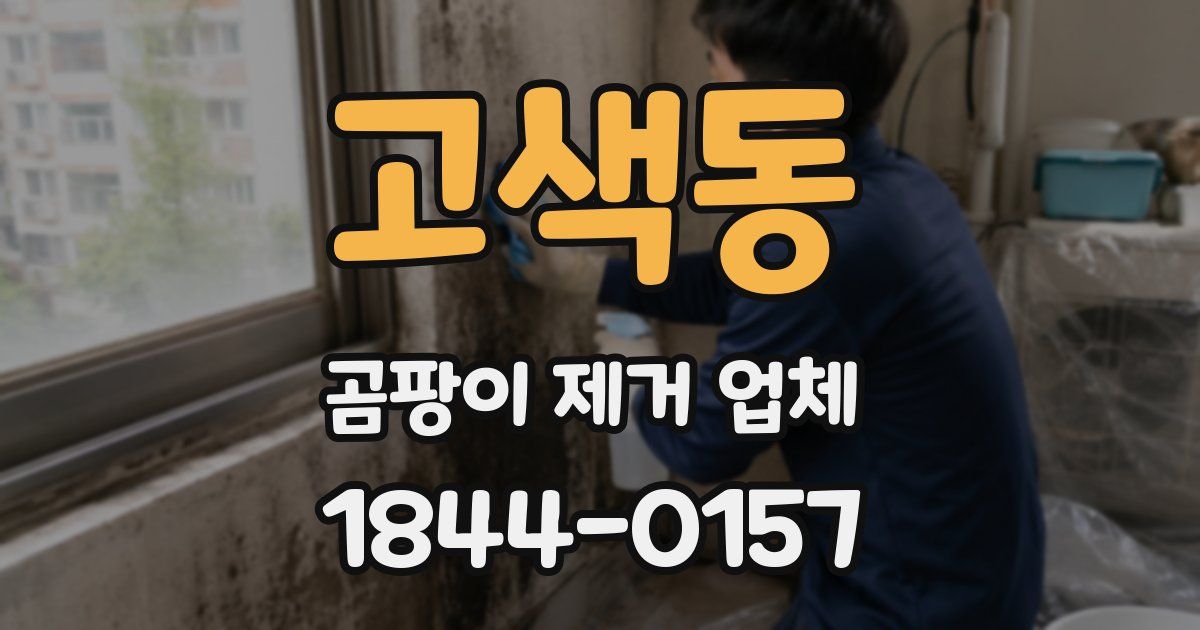 고색동 곰팡이 제거 업체